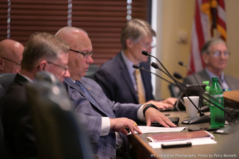 Flooding Committee Hears Updates on Richwood, RISE
