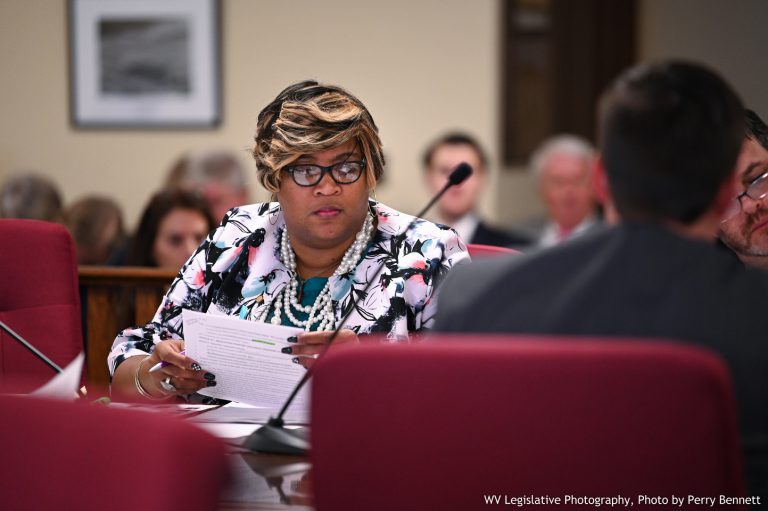 House Introduces 20 Bills, Including Foster Care Legislation