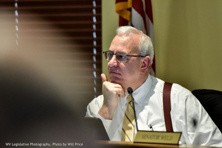 Senate Judiciary Approves Bill to Ensure Ballot Access for Voters with Disabilities