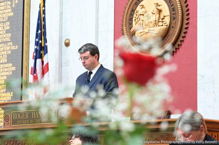 House Passes Concealed Carry Permit Bill