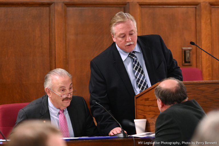 DHHR Presents Budget to House Finance