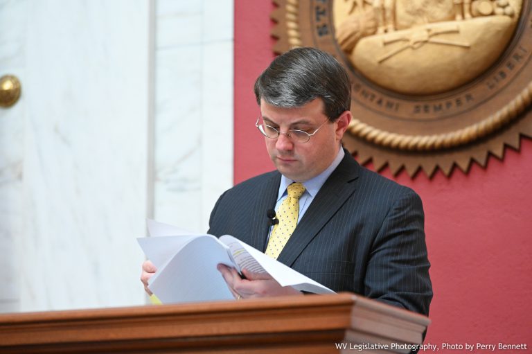 House Passes Municipality Weapons Bill