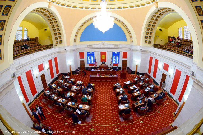 In the Senate