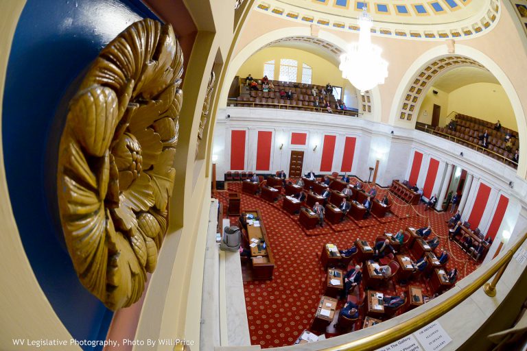 In the Senate