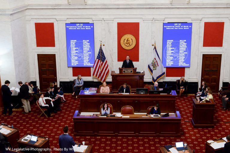 In the Senate