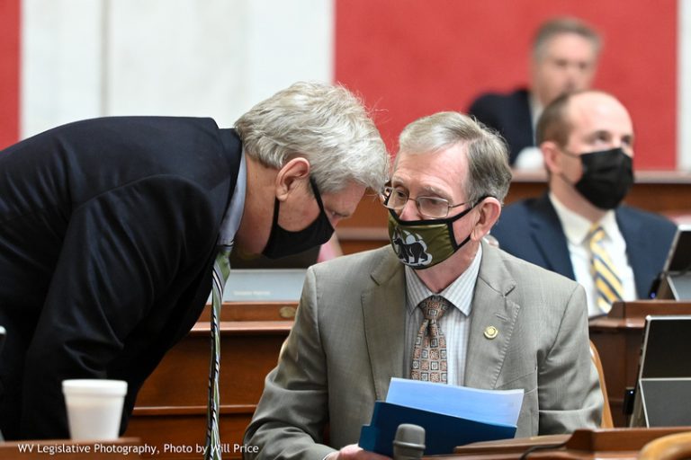 Senate Passes Parity of Payment for Telehealth Services