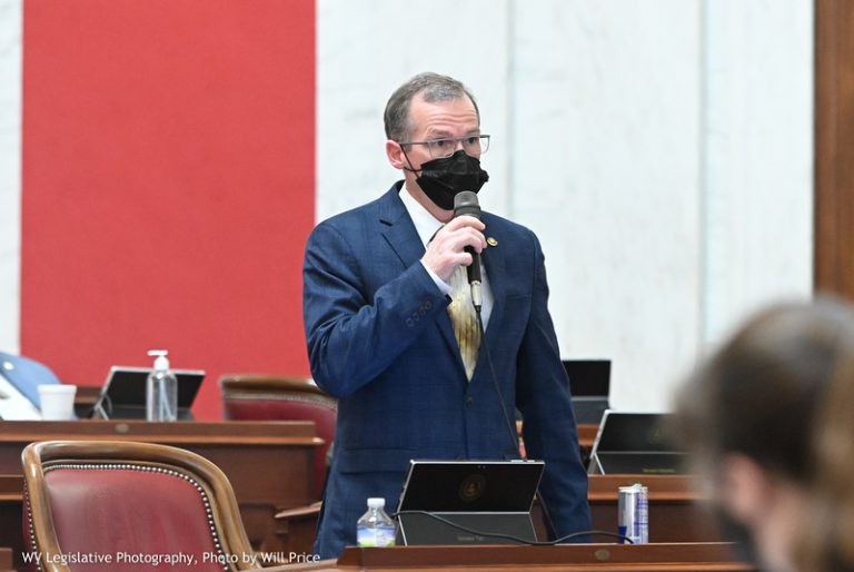 Senate Passes Income Tax Reduction, Budget