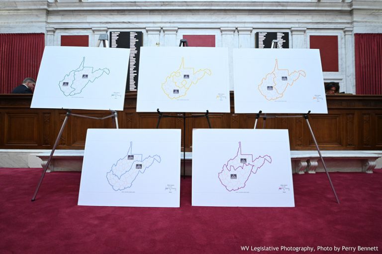 House Committee Receives Proposed Redistricting Maps