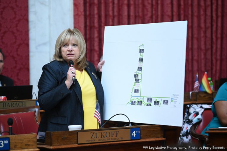 House Redistricting Bill Moves to Senate