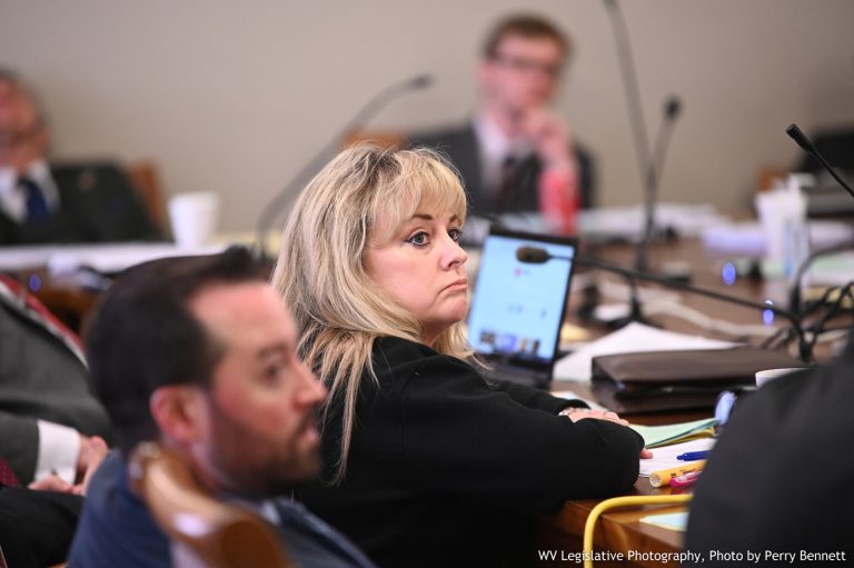 Judiciary Committee Advances Bills and Resolution to Floor