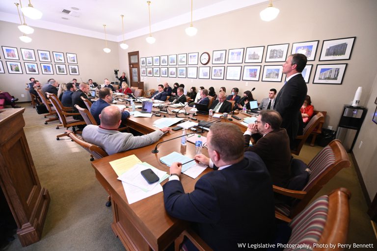 Judiciary Committee Advances Autonomous Delivery Vehicle Bill