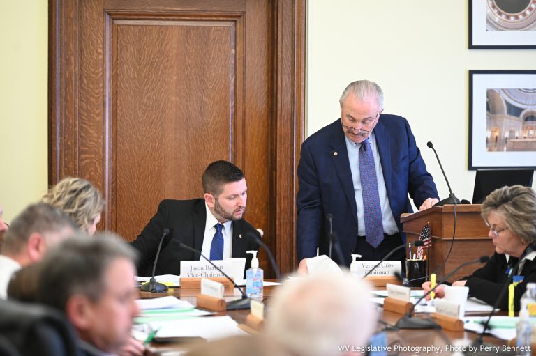 Finance Committee Advances House Budget Bill