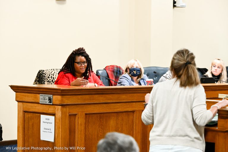 Interim Report: Joint Committee on Children & Families