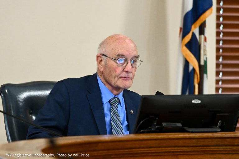 Interim Report: Regional Jail and Correctional Facilities