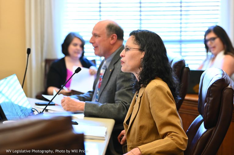 Interim Report: Legislative Oversight Committee on Education Accountability