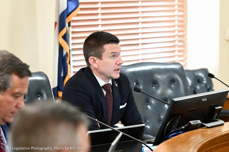 Interim Report: Select Committee on Veterans’ Affairs