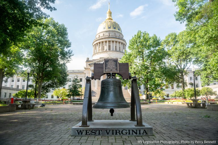 Interim Report: Government Organization