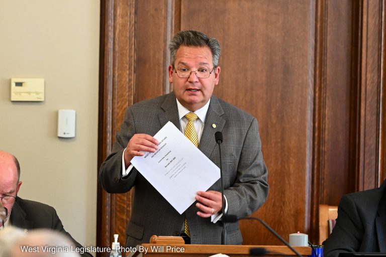 Interim Report: Parks, Recreation and Natural Resources