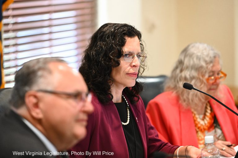 Interim Report: Joint Committee on Children and Families