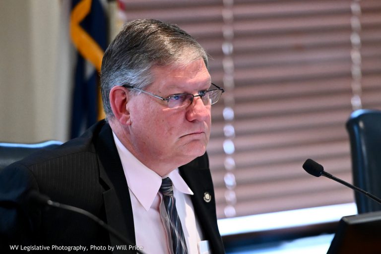 Interim Report: Committee on Ag and Rural Development
