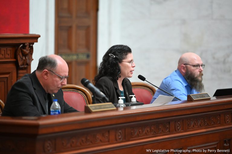 Interim Report: Joint Committee on Education