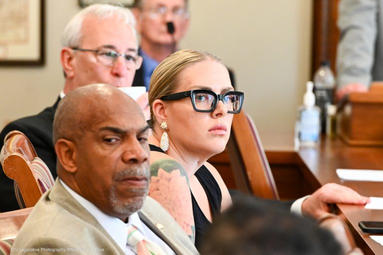 Interim Report: The Joint Commission on Economic Development