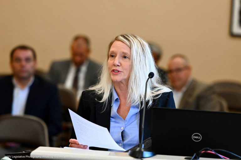 Interim Report: PEIA, Seniors and Long Term Care