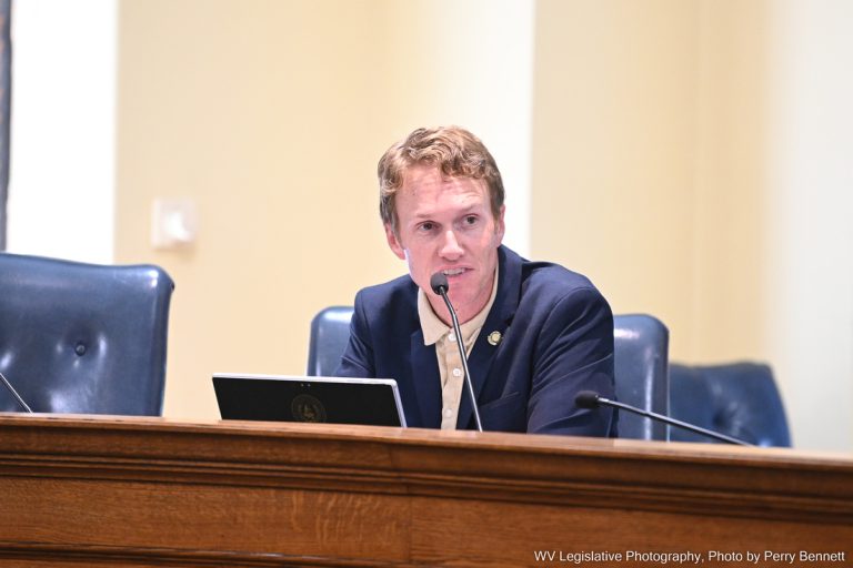 Interim Report: Committee on Flooding
