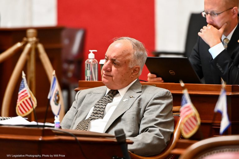 Interim Report: Judiciary Committee