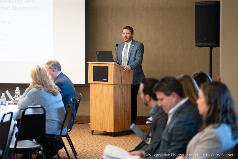 Interim Report: Joint Committee on Natural Gas Development