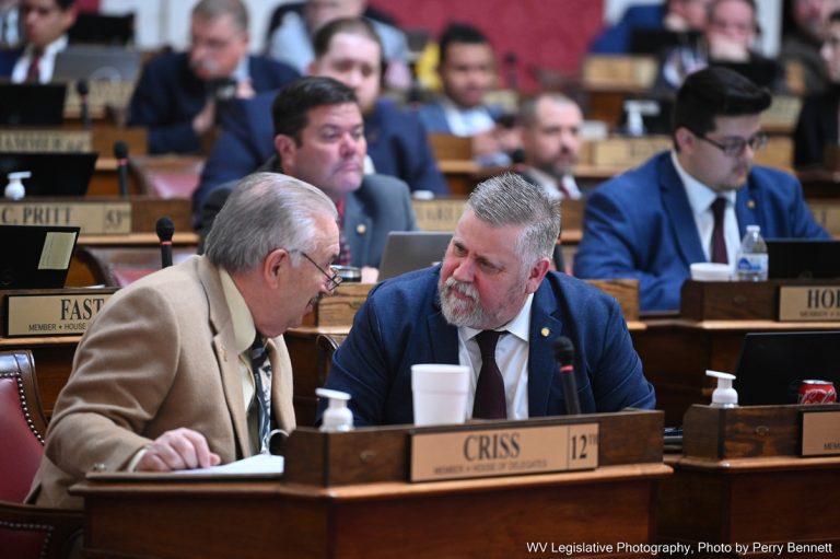 House Postpones Action on Four Bills