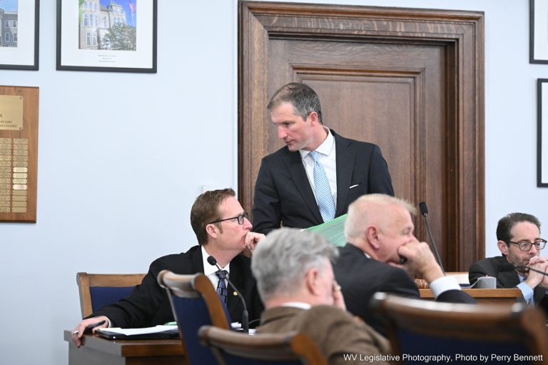House Judiciary Passes Bills Relating to Immigration and Medical Procedures