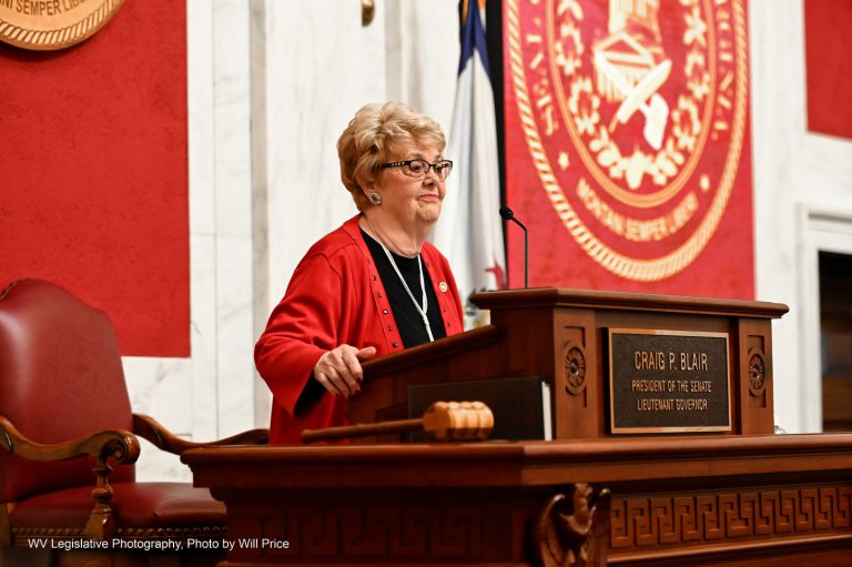 Senate Convenes 86th Legislature, Passes 23 Bills on Day 1