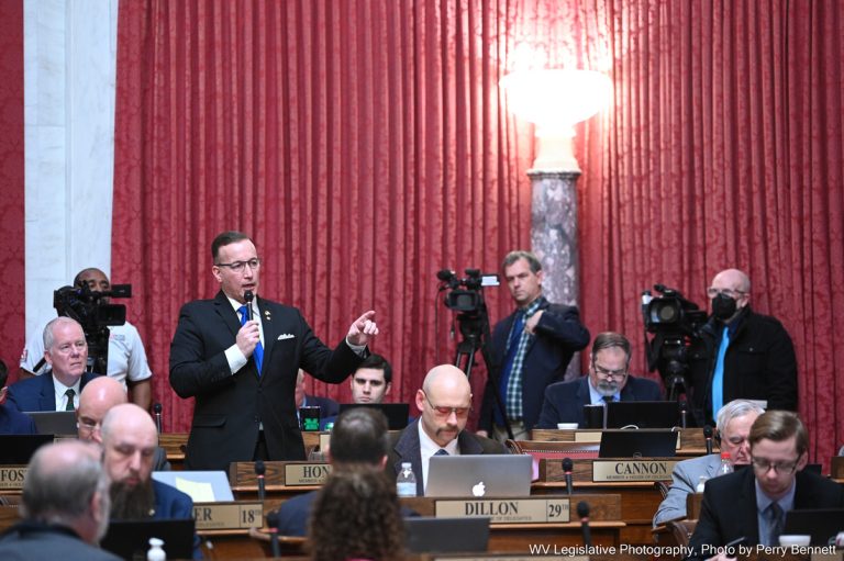 House Passes Bills on Minor’s Medical Care and Immigration