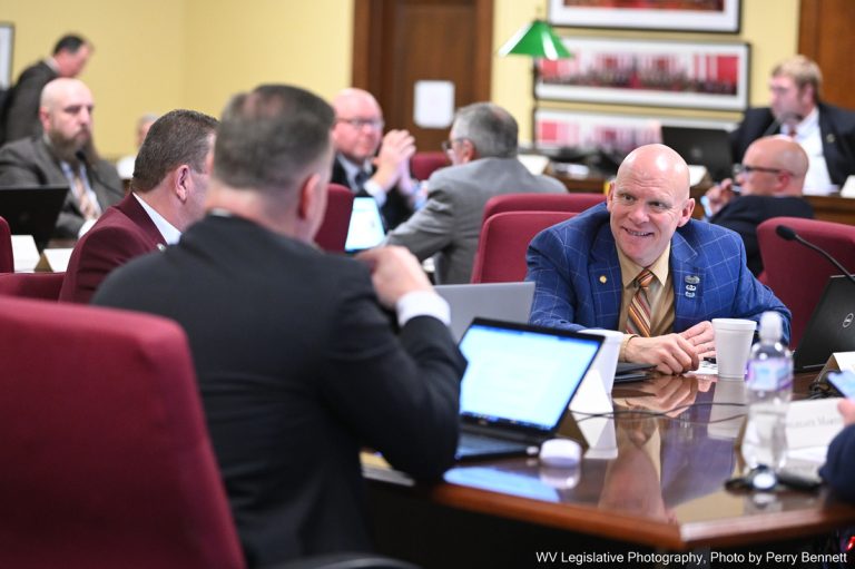 House Gov Org Bill to Create WV Coalfields Energy Research and Economic Development Authority