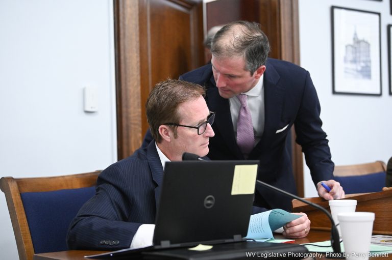 Judiciary Advances Electrically Distracted Driving Act