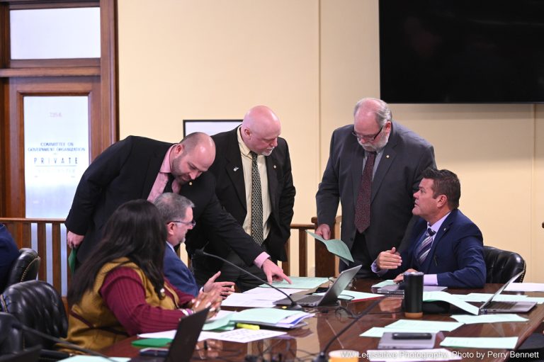 House Agriculture and Nat. Resources Considers Amendment to Constitution