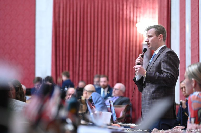 House Passes Bill to Increase Adoption Tax Credit