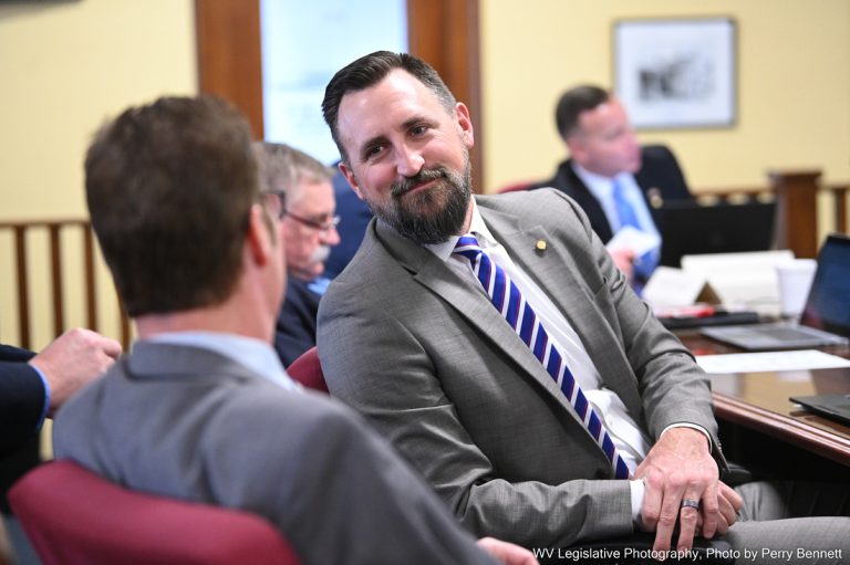 House Gov Org Advances Five Bills in Evening Meeting