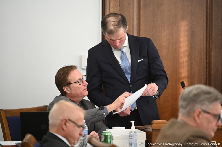 House Judiciary Advances Bill Establishing Marriage Consent Age