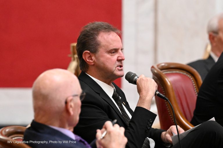 Interim Report: Joint Committee on Education