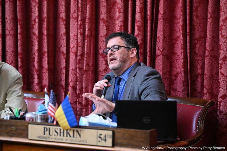 Interim Report: Joint Committee on Health