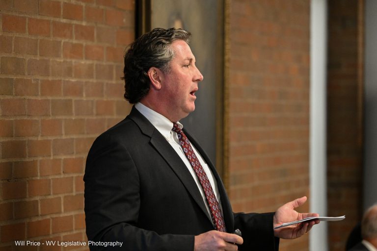 Interim Report: Joint Standing Committee on Insurance and PEIA