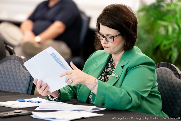 Interim Report: Committee on Health