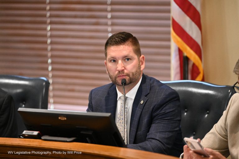 INTERIM REPORT: Regional Jails and Correctional Facilities