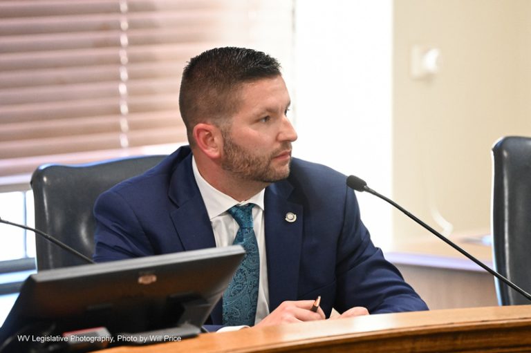 INTERIM REPORT: Committee on Government Organization