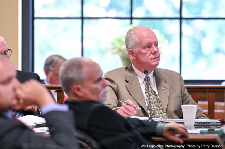 INTERIM REPORT: Joint Committee on Energy and Manufacturing