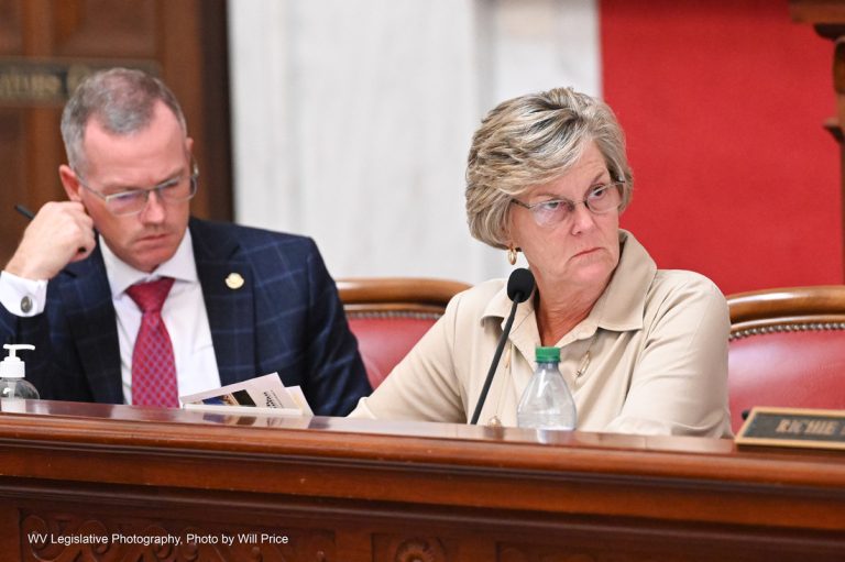 INTERIM REPORT: Joint Committee on Health