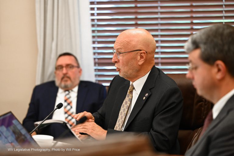 Interim Report: Joint Committee on Government and Finance
