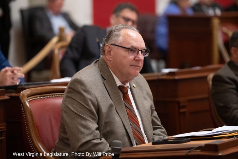 Interim Report: Joint Committee on Health